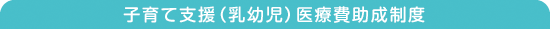 3.子育て支援（乳幼児）医療費助成制度