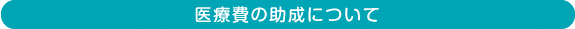 医療費の助成について